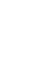 Mantova 1911